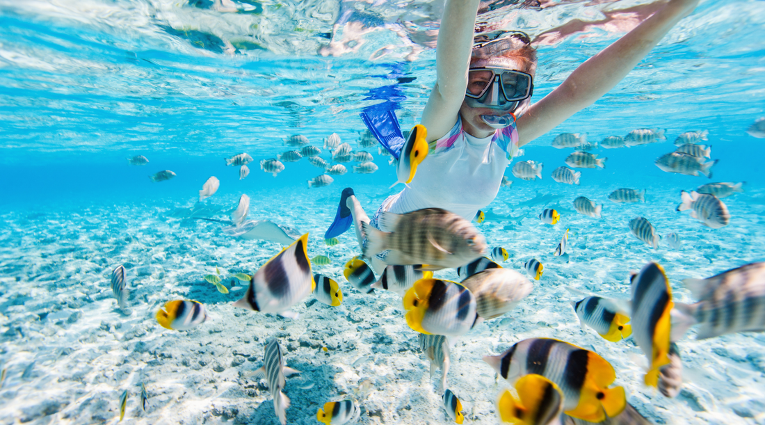 Women snorkeling in blue water with great visiblity and many colorful fish