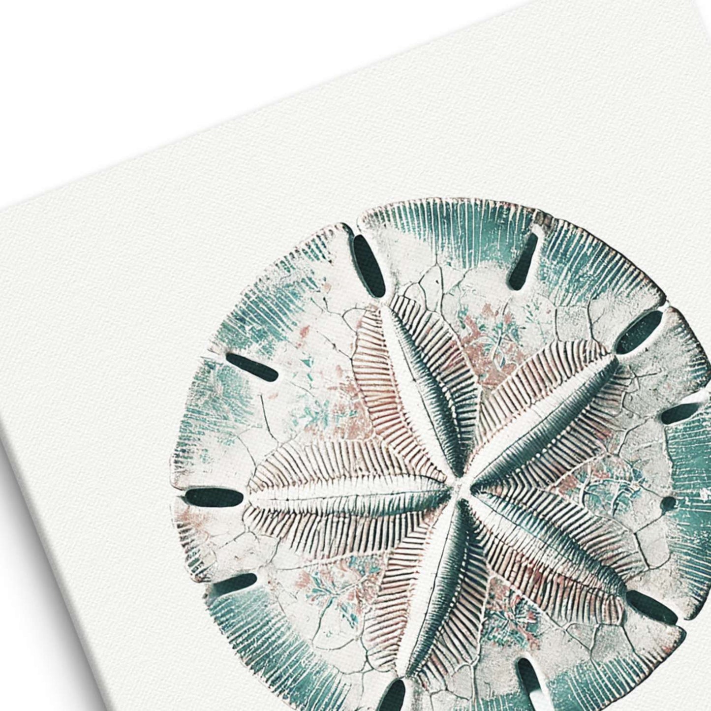 Sand dollar wall art canvas texture close-up
