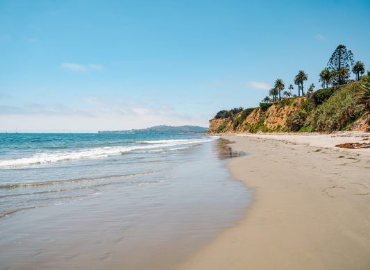 Butterfly Beach Secrets: What Montecito Dog Owners Love