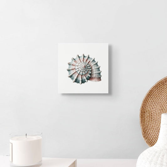 1 shell canvas above a table with a candle