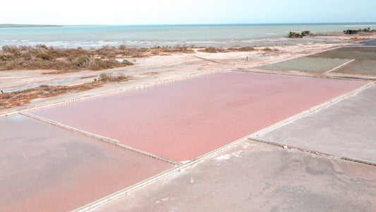 Is Las Salinas in Puerto Rico Really A Pink Sand Beach?