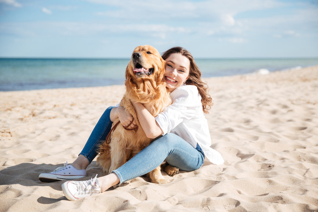 Top Dog-Friendly Spots in Sunset Beach, NC