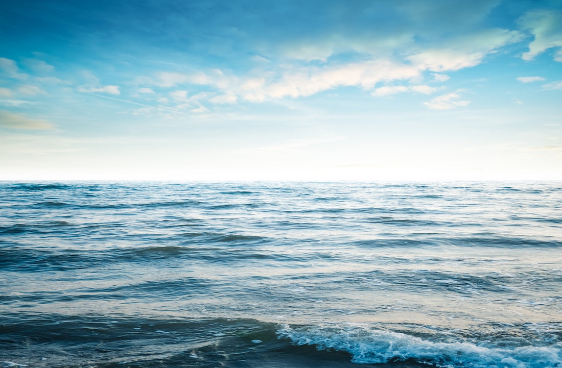 Why the Beach Makes You Happy: The Science of Coastal Serenity