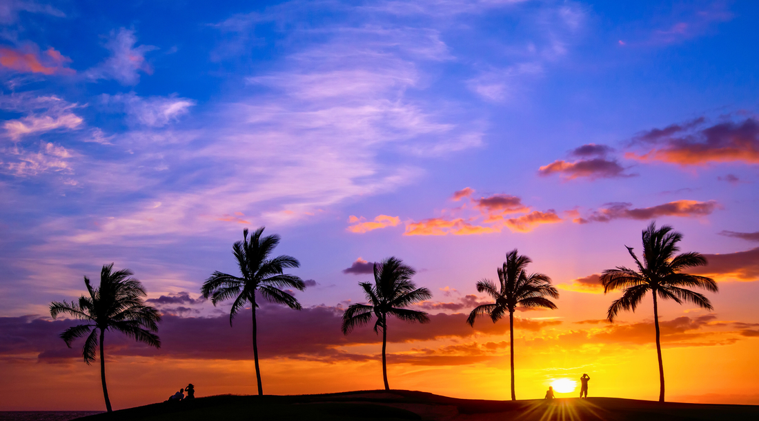 Hawaiian sunset with palm tree silhouettes, showcasing vibrant purple, pink, and orange sky. Best tropical wall art for home decor.