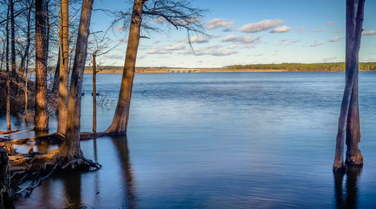Wide View of Jordan Lake Recreation Area