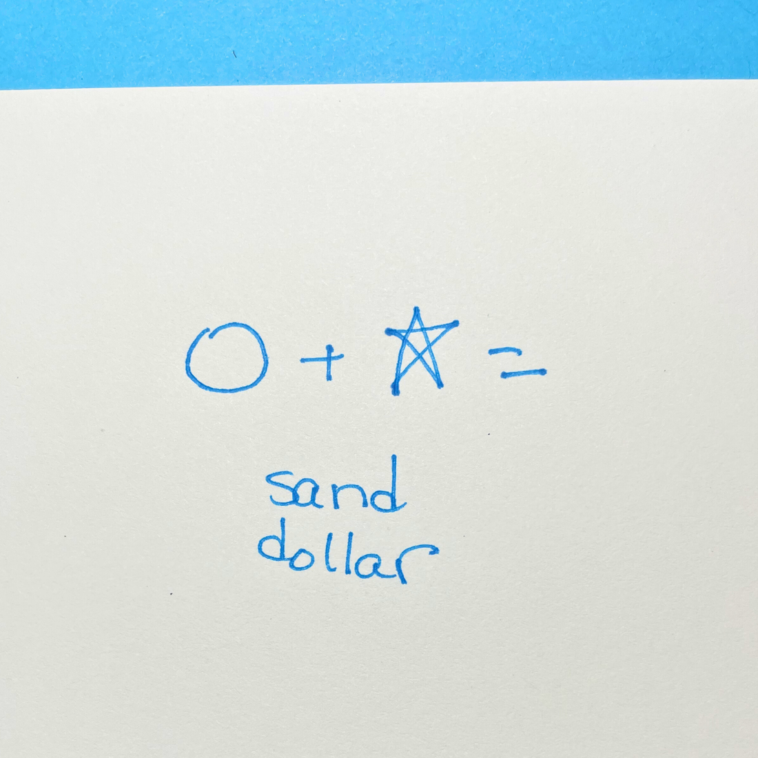 hand drawing of a circle + star = sand dollar