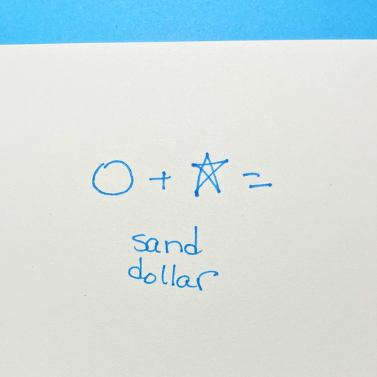 hand drawing of a circle + star = sand dollar