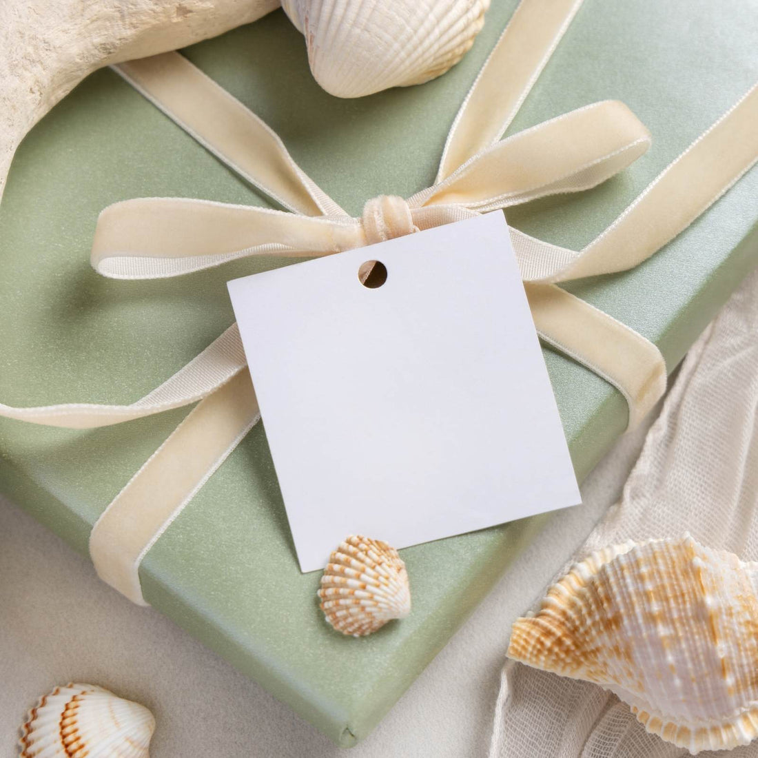 coastal gift beach themed with sand colored ribbon and sea shells