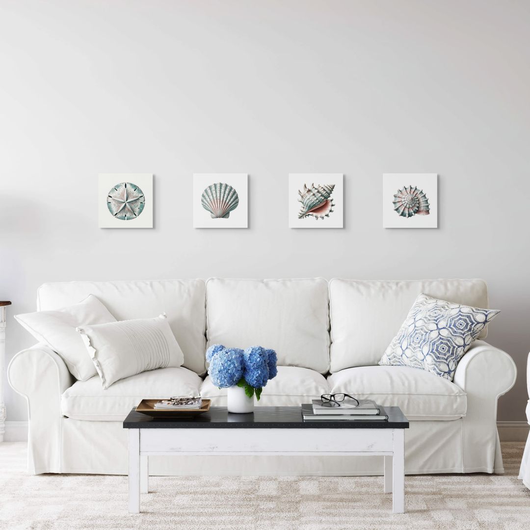 Seashell wall art set of four square canvas prints displayed above a white sofa — sand dollar, scallop, conch, and nautilus shells in soft coastal blues.