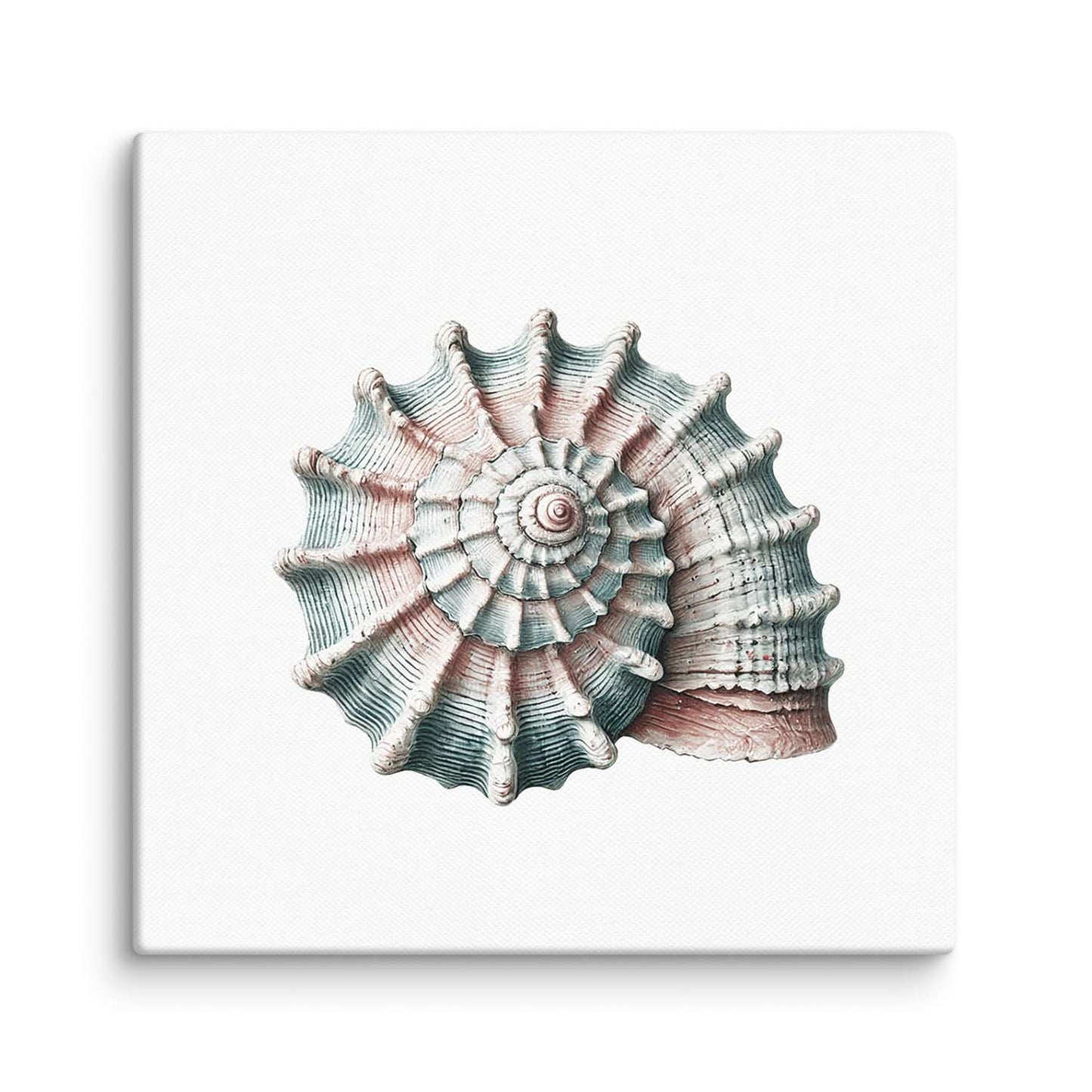 Seashell canvas wall art – a coiled spiral shell with ribbed, radiating segments in teal and blush pink, canvas print