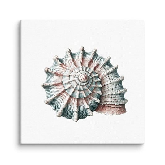 Seashell canvas wall art – a coiled spiral shell with ribbed, radiating segments in teal and blush pink, canvas print