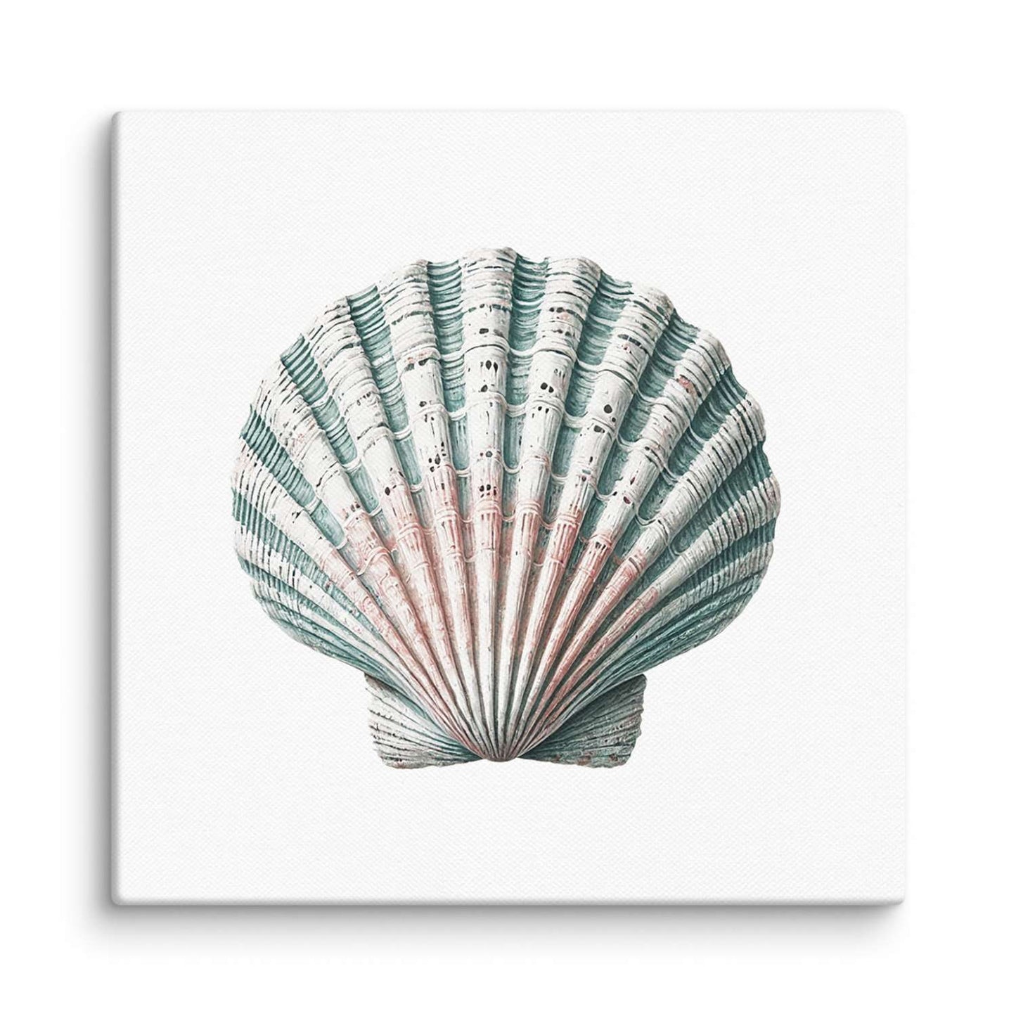 Shell canvas art – a fan-shaped scallop shell in soft teal and blush tones, square canvas print