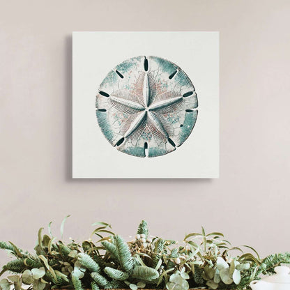 Sand dollar wall art canvas hanging in a living room
