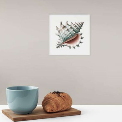 Sea shell wall art canvas hanging in a living room