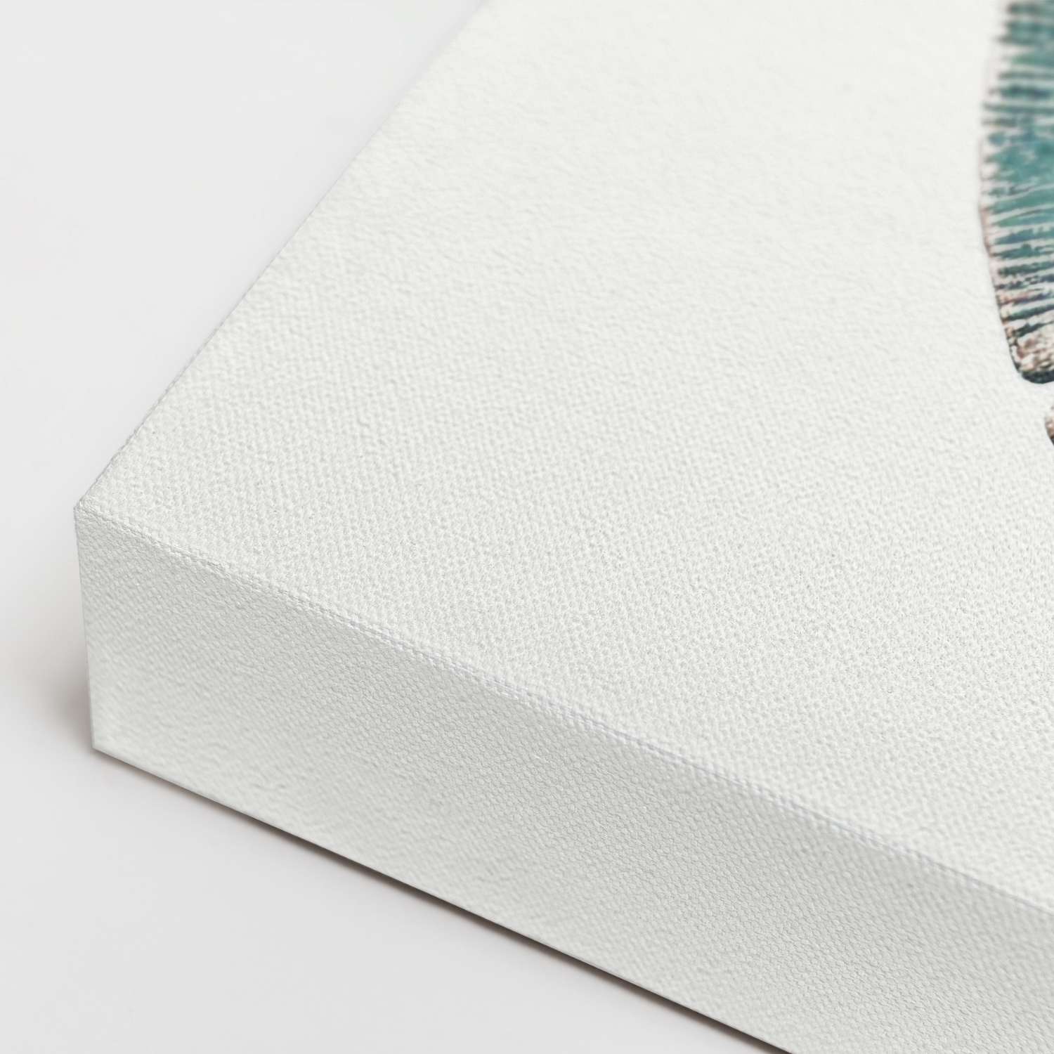 Sand dollar wall art canvas, gallery-wrapped corner detail