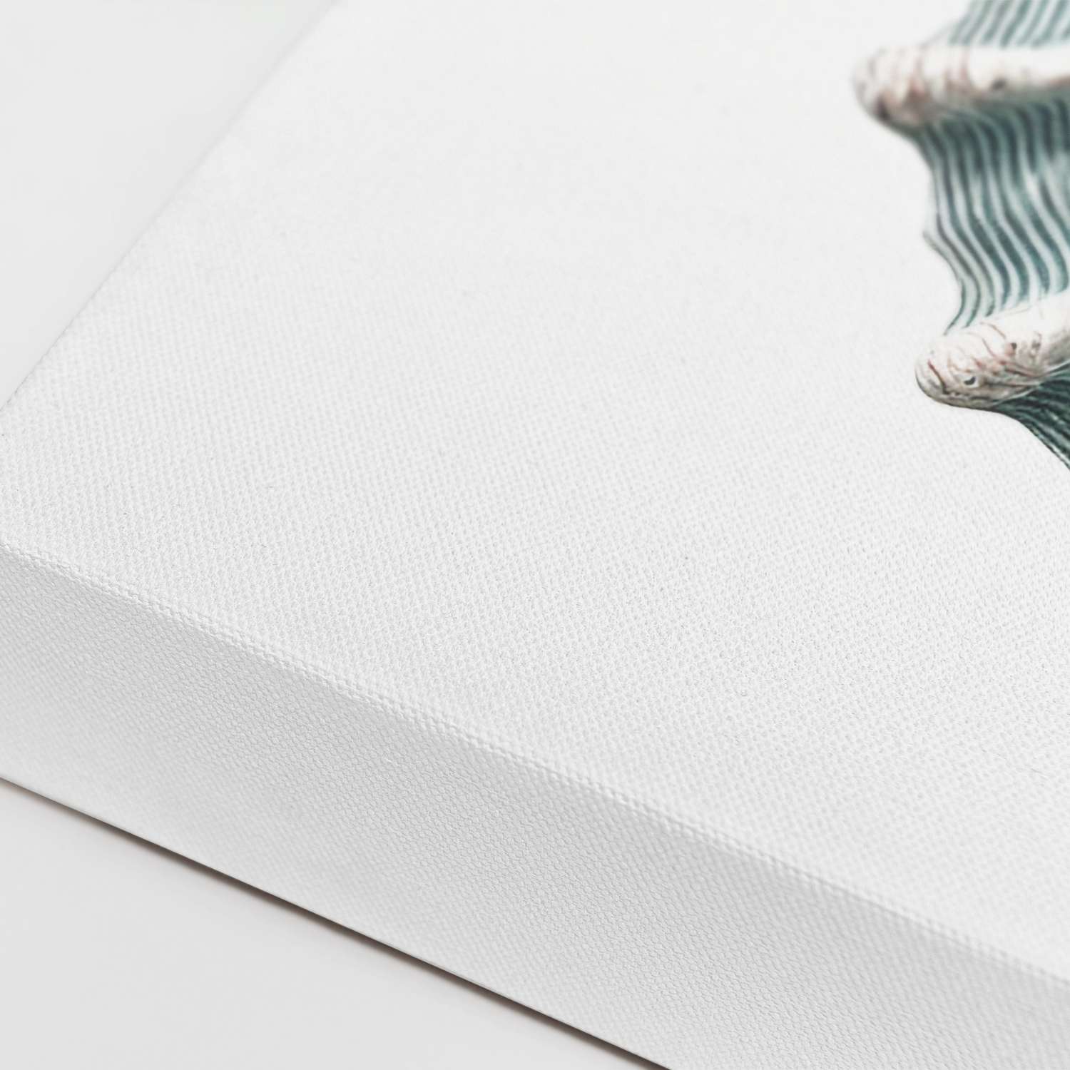 Seashell canvas wall art, gallery-wrapped corner detail