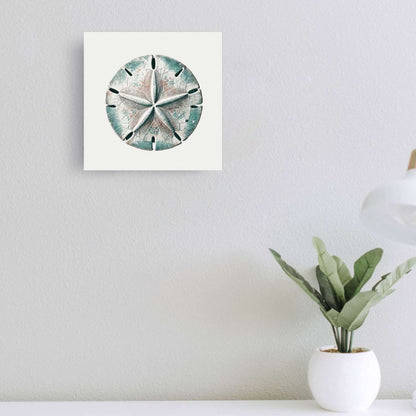 Sand dollar wall art canvas on a wall