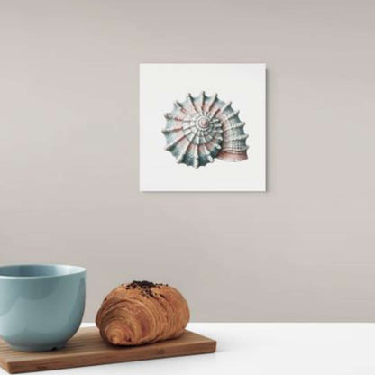 Seashell canvas wall art on a wall