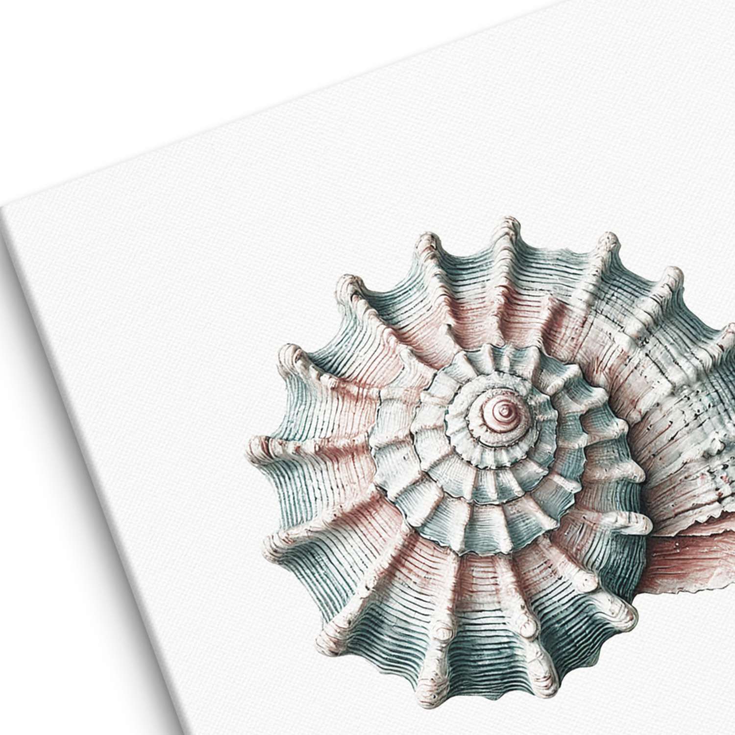 Seashell canvas wall art texture close-up