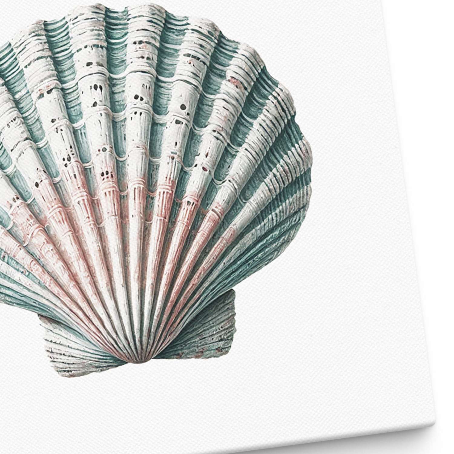 Shell canvas art texture close-up