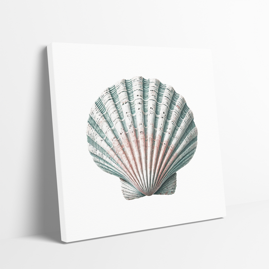 serene sea shell wall art TIDAL CLAM. The clam shell wall art shows a colorful clam shell.