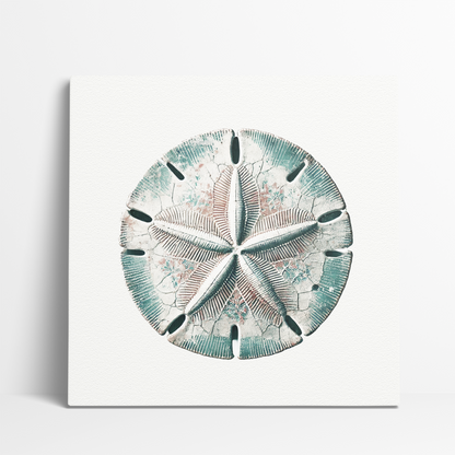 BEACH BOUNTY Gallery Wrap Canvas, Sand Dollar Art, Fade Resistant