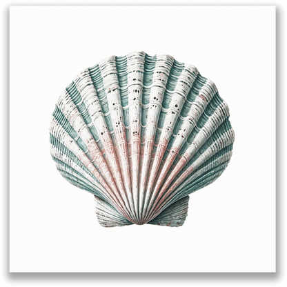 TIDAL CLAM Gallery Wrap Canvas, Sea Shell Wall Art, Fade Resistant