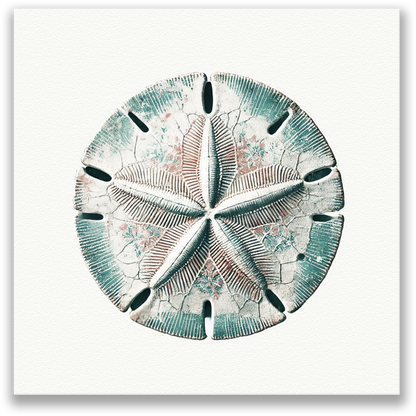 BEACH BOUNTY Original Sand Dollar Canvas – Coastal Shell Wall Art on Fade-Resistant Canvas, 1.25” Thick Wood Frame, Ready to Hang (10” x 10”)