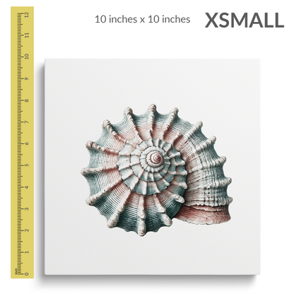 WHELK WHISPER Gallery Wrap Canvas, Seashell Art Print, Fade Resistant