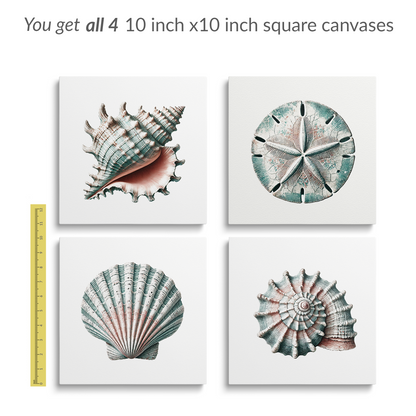 All four seashells canvases shown, arranged 2 by 2. Text reads: You get all 4 10 inch by 10 inch square canvases. A 12 inch ruler is next to one canvas showing size.