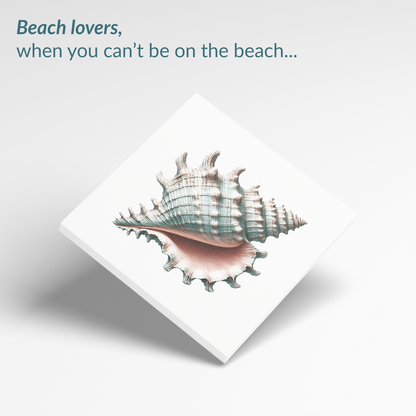 The shell wall art SEA SPIRAL canvas. The text reads: “Beach lovers, when you can't be on the beach...”