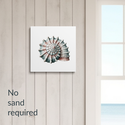 WHELK WHISPER Gallery Wrap Canvas, Seashell Art Print, Fade Resistant