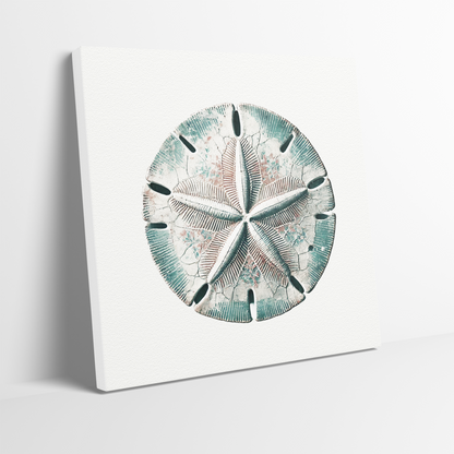 Close up of the sand dollar canvas