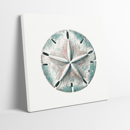 BEACH BOUNTY Gallery Wrap Canvas, Sand Dollar Art, Fade Resistant